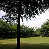 照片5087.jpg