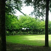 照片5088.jpg