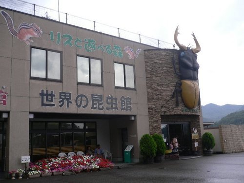 ap_F23_20090809015420141.jpg