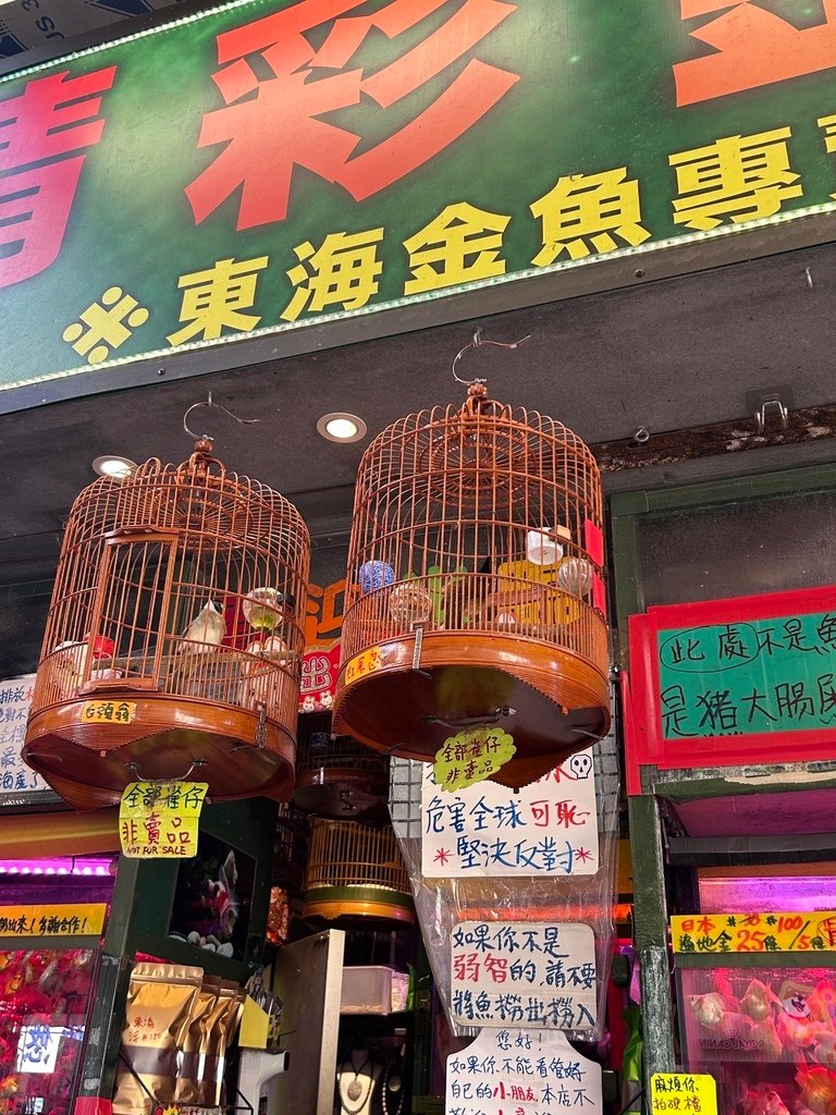 =2023=香港旅遊=3天行程=依地鐵站分區介紹=景點安排=