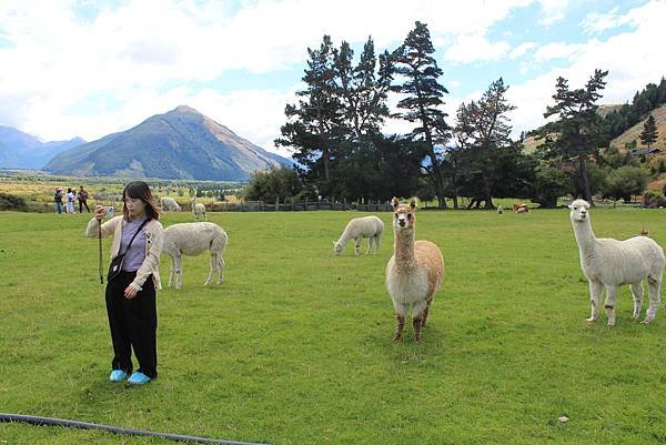 =紐西蘭=南島=PART5=箭鎮Arrowtown=皇后鎮Q