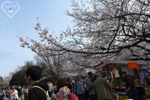 20130320-上野公園-01