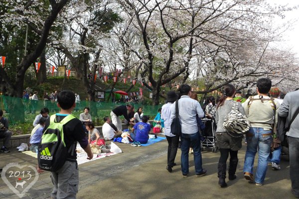 20130320-上野公園-02