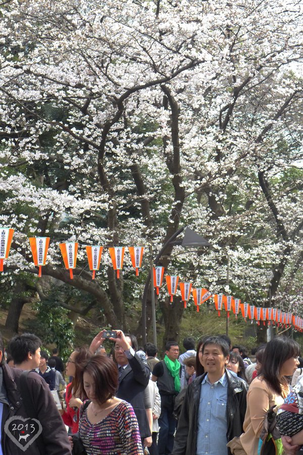 20130320-上野公園-06