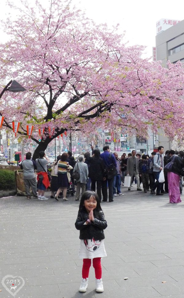 20130320-上野公園-12