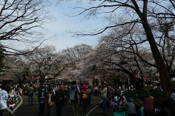 20130320-上野公園-15