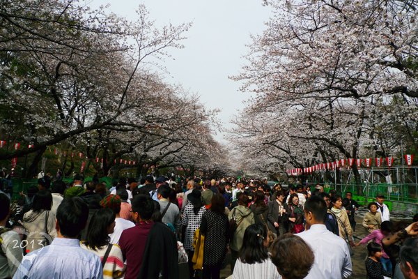 20130320-上野公園-16