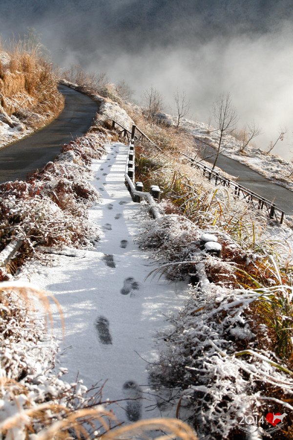 20140220-武陵登山口-10.jpg