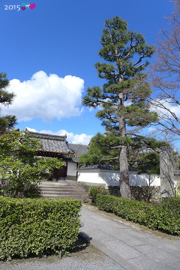20150310-嵐山景色-14.jpg