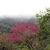 IMG_3250