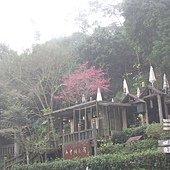IMG_3321