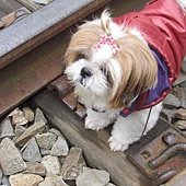 IMG_3354