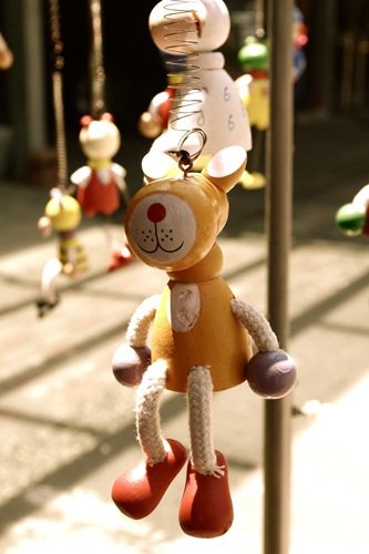 IMGP6646.jpg
