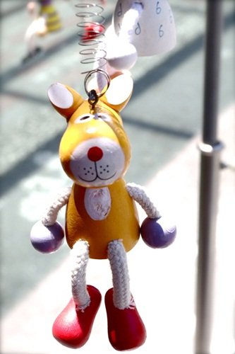 IMGP6650.jpg