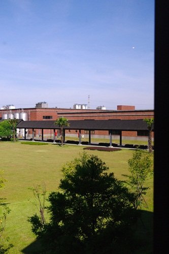 IMGP6898.jpg