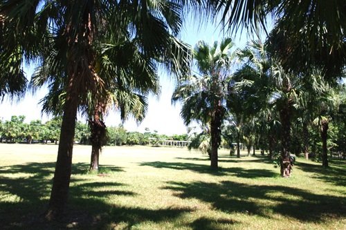 IMGP6791.jpg
