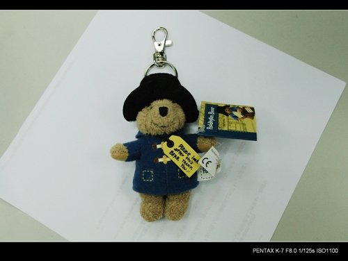 IMGP7095.jpg