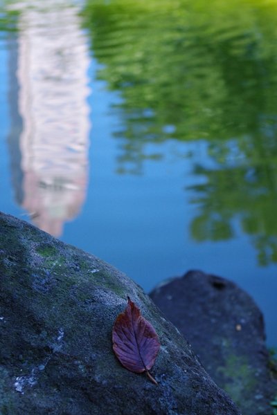 IMGP7388.JPG