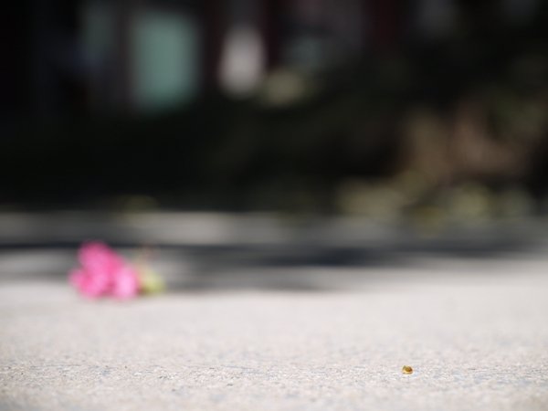 P1050193