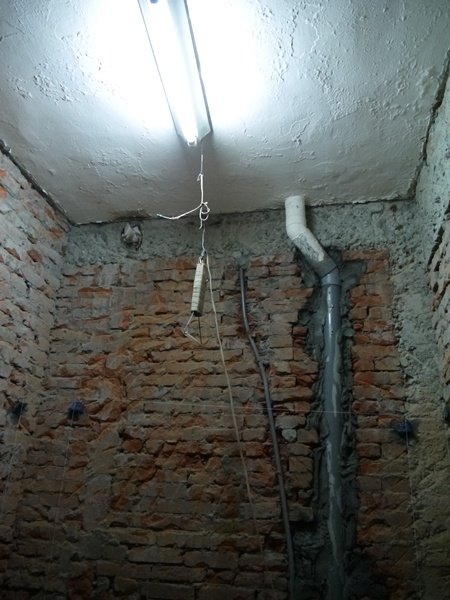P1160535