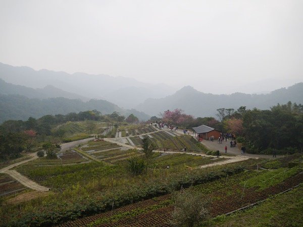 P1340786.JPG