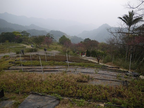 P1340845.JPG