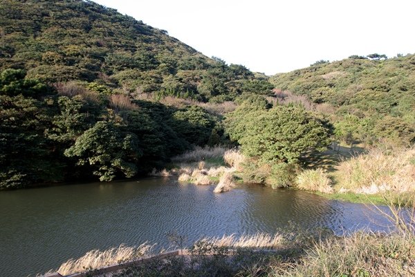 IMG_3960.JPG