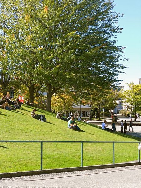 lawn outside the sub.jpg