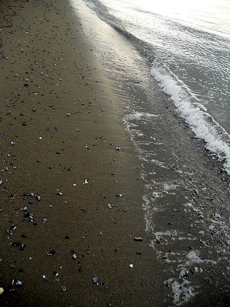 DSCN2550.jpg