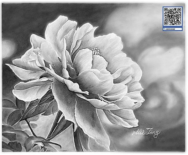 繪畫人生~素描班(星期三晚上班)22期
