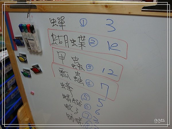 DSC00963.jpg