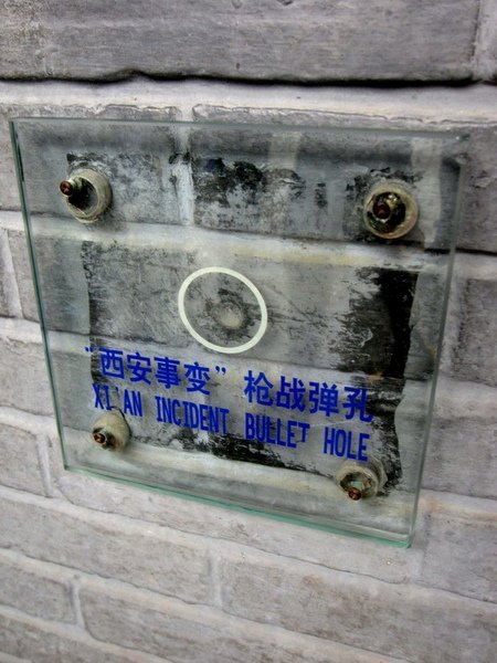 IMG_8991.JPG