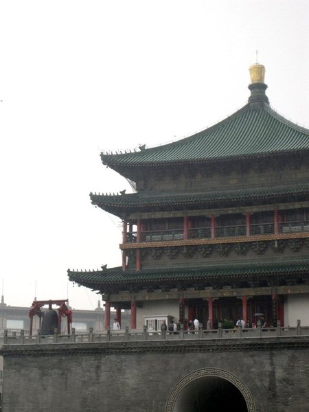 IMG_8261.JPG