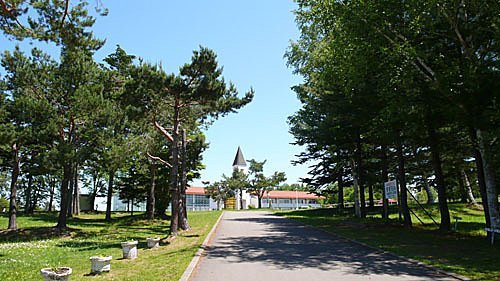 bibaushi6
