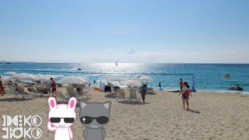 海中公園12.jpeg