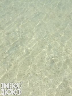 aquarium22.jpeg