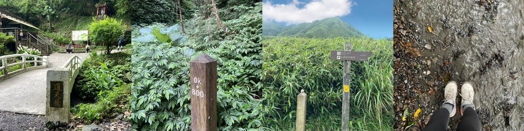 🍵⛰️抹茶山登山紀錄，登山手札、全程時間