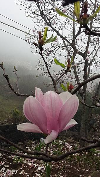 20150226_155042.JPG