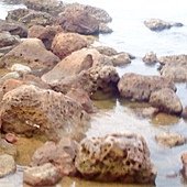 DSC02919.JPG