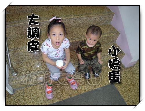 DSCN7305.jpg