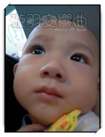 DSCN5454.jpg