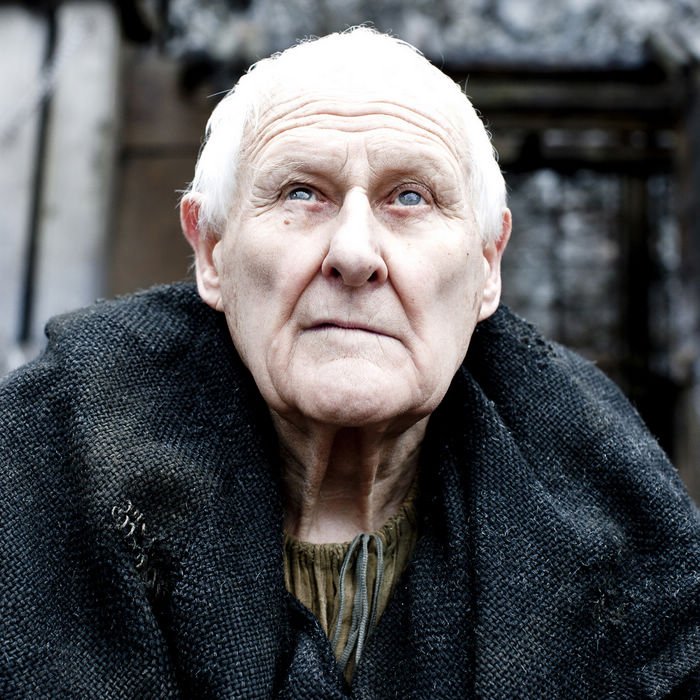 MAESTER AEMON.jpg