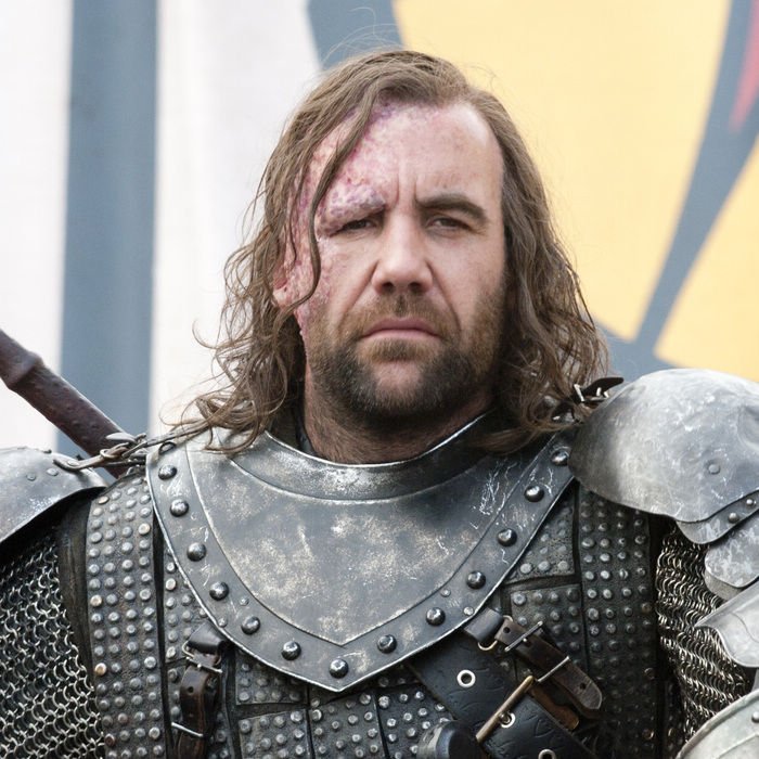 SANDOR CLEGANE, THE HOUND.jpg