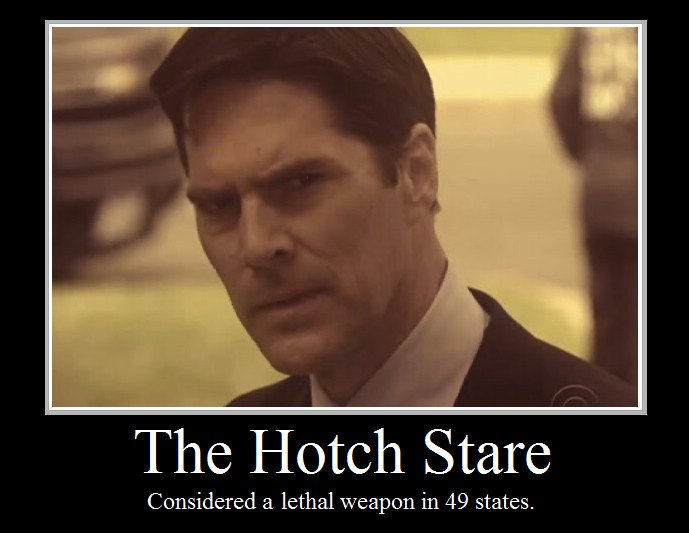 The_Hotch_Stare_by_BrRaInFrEeZe.jpg