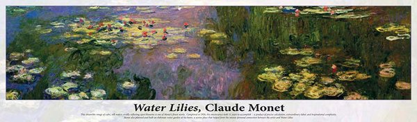 Water Lilies.jpg