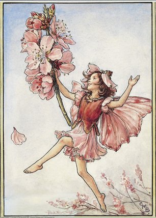 Almond Blossom Fairy