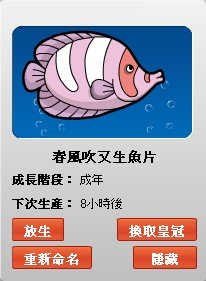 fish11.jpg