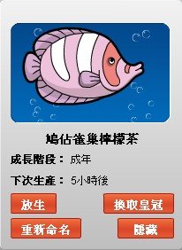 fish5.jpg
