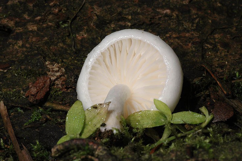 DSC_7005.JPG