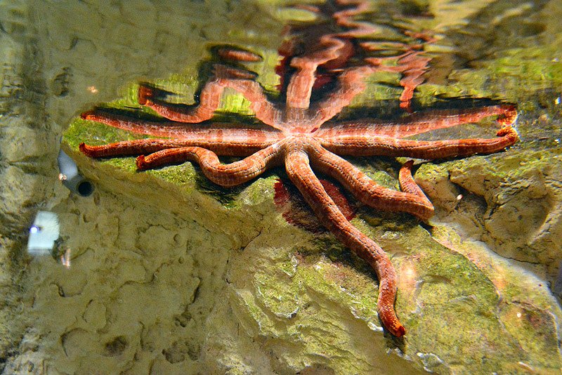 DSC_0354.JPG